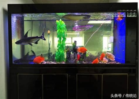 魚缸 房間|魚缸能招財…但千萬別放這些地方！觸犯「5禁忌」反損財 